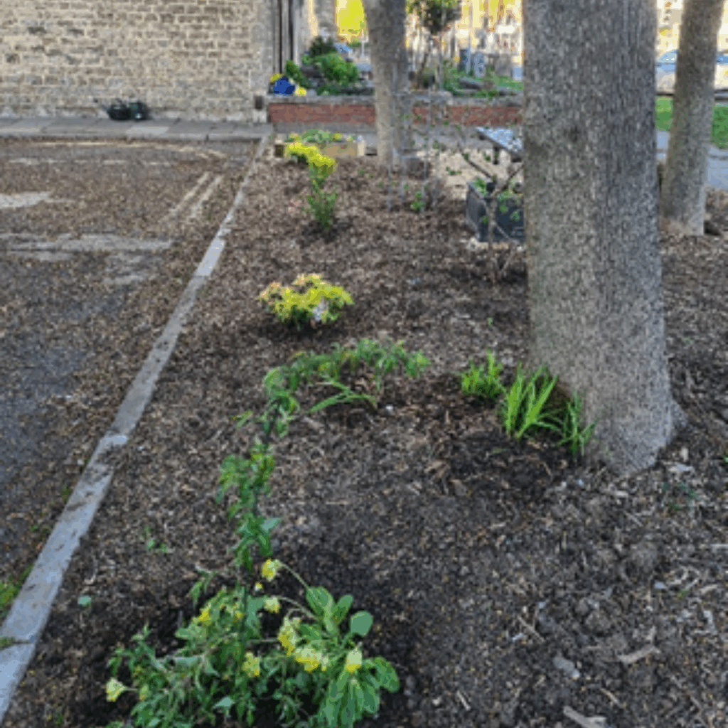 Global Gardening Volunteers Planted Flowers and Bushes